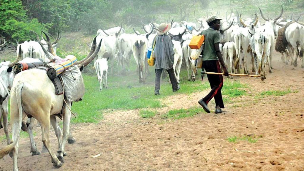Suspected Herdsmen Kill Pregnant Woman, 10 Others in Benue
