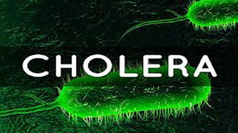 Nine Die from Cholera Outbreak in Rivers