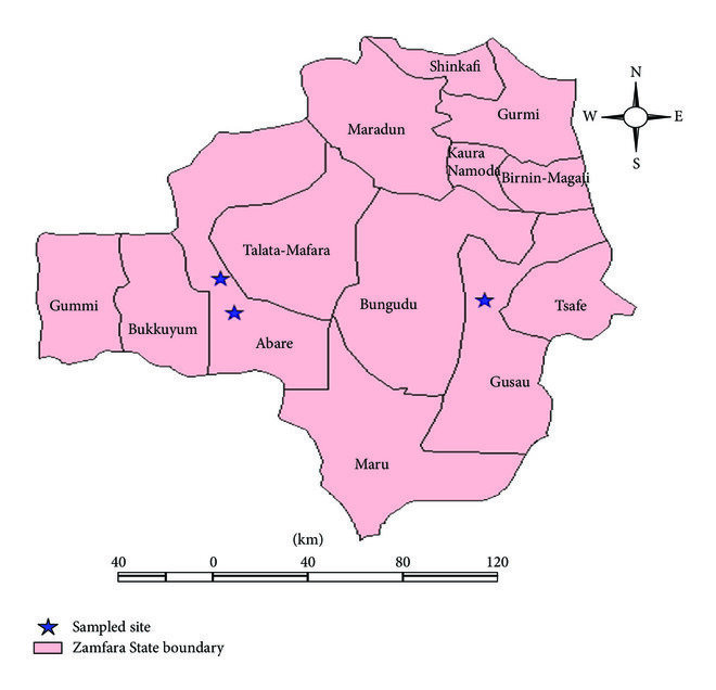 Anthrax: FG Confirms Outbreak of in Zamfara