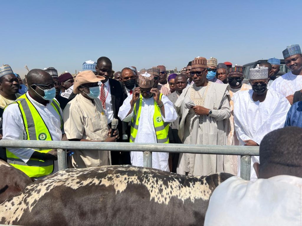 Farmer-Herder Conflicts: Borno Inaugurates Livestock Ranch