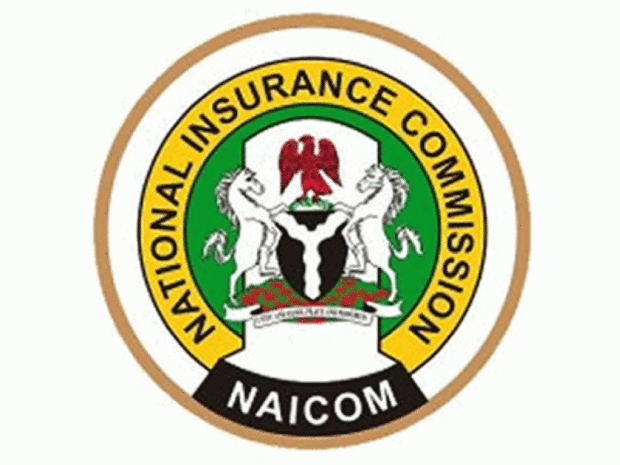 Insurance companies in Nigeria have been urged to develop and introduce cyber insurance products in response to increasing digital risks.