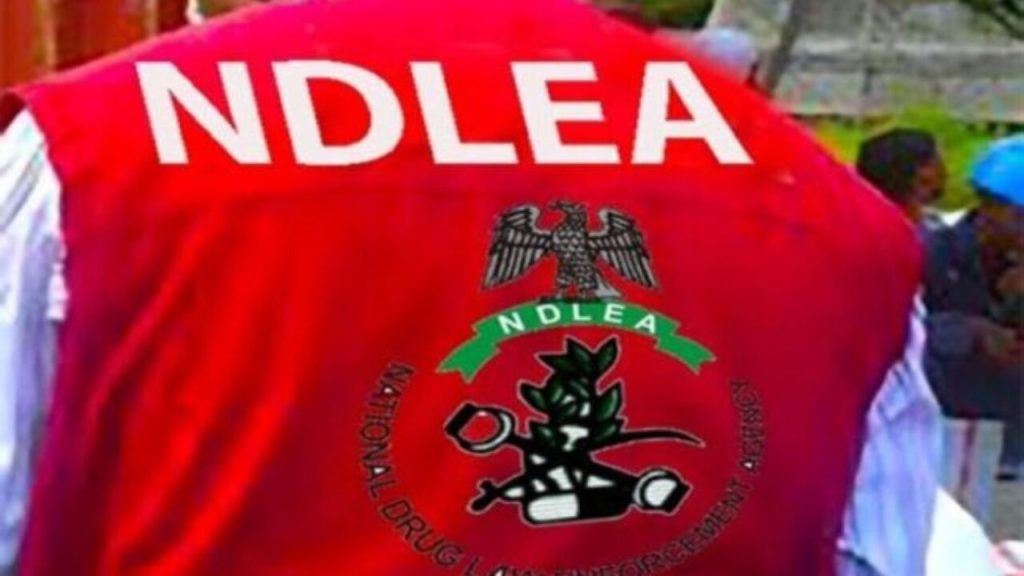 NDLEA Foils Drug Trafficking Attempts in Kano, Arrests Suspects