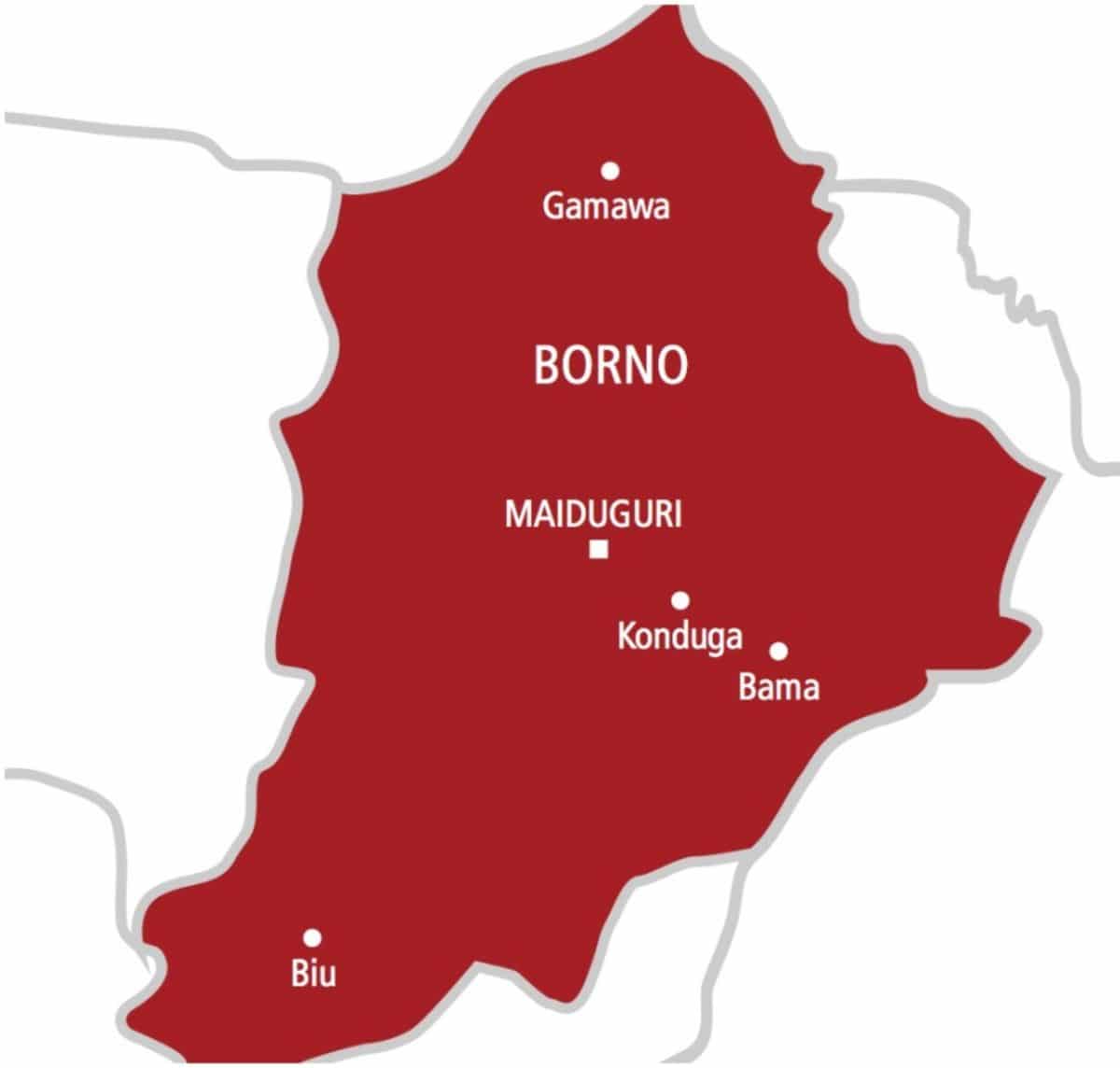 Female Suicide Bomber Kills 24 in Food Joint Explosion
