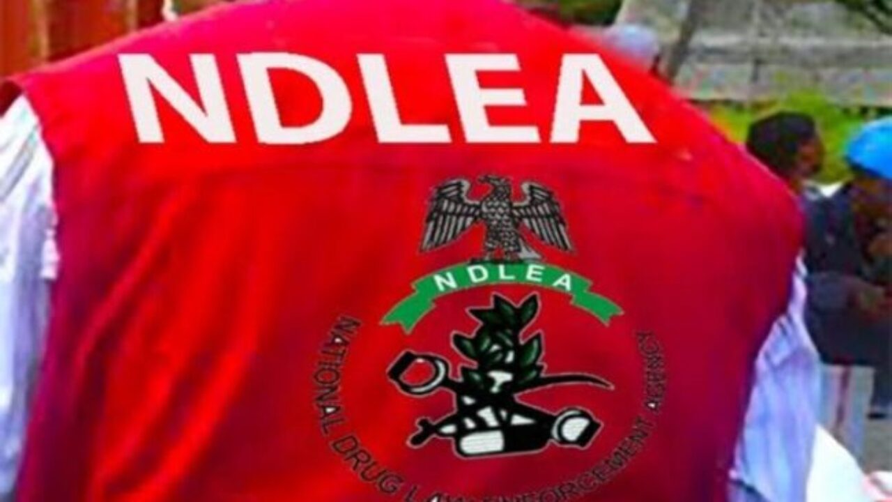 NDLEA Arrests 353 in Taraba over Drug-Related Offences