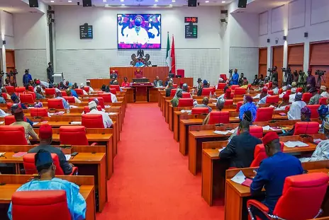 Senate Explores Options to Reduce Impact of Naira Depreciation